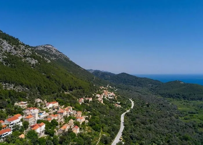 Semesterbostad House With A Parking Space - Mljet - 22324 Babino Polje